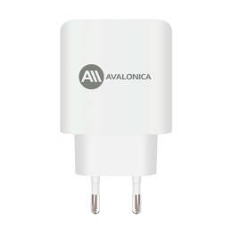 Сетевое зарядное устройство AVA GaN 2*Type-C + 1*USB-A 65Вт QC 3.0 PD 3.0 3A (AVA-WCH-010 White) EU белое